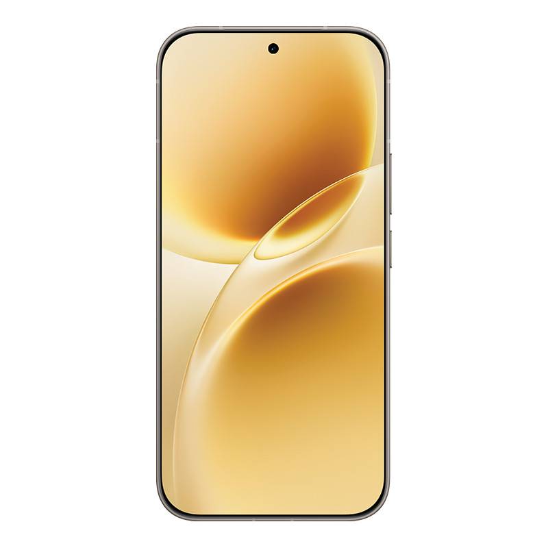 Écran AMOLED 6,59 pouces du Vivo V70 5G Gris des dunes