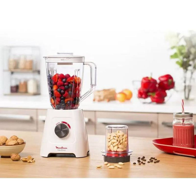 Blender Moulinex Force LM422125 avec fruits et accessoire broyeur