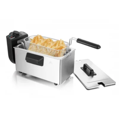 FRITEUSE TECHWOOD INOX 3 LITRES 2000W TFR-4030