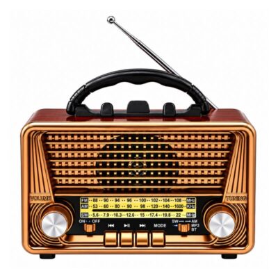RADIO FM/BT RAISENG R-3166 BT